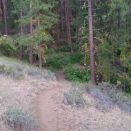 naneumfinishedtrail2.jpg