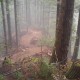 Fresh Olallie Singletrack