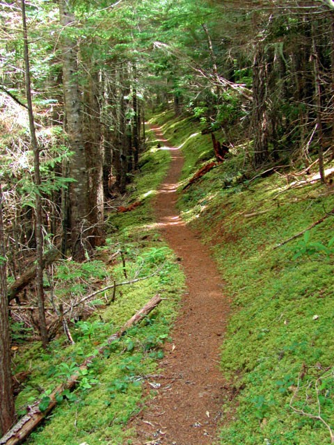 Join in the Sleepy Hollow Trail Rolling Work Party Oct 4th!